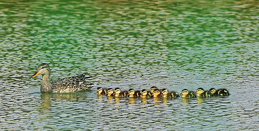 《死亡回归》PC发布更新 减少卡顿提升稳定性